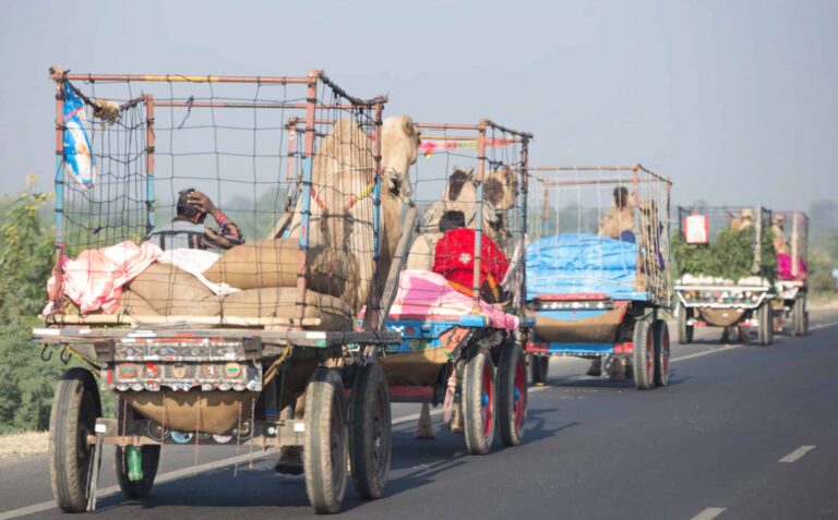 L’india in Tuk-Tuk: un’Avventura da Leh a Jaisalmer in una scatola di latta